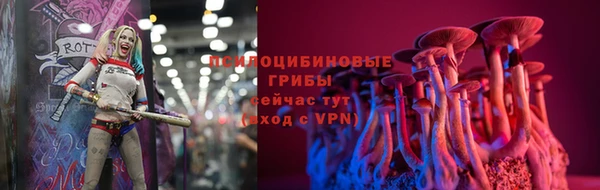 гидра Алексеевка