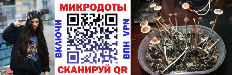 Галлюциногенные грибы MAGIC MUSHROOMS  Кораблино 